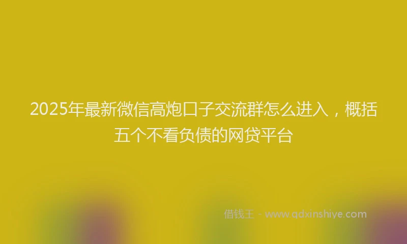2025年最新微信高炮口子交流群怎么进入，概括五个不看负债的网贷平台