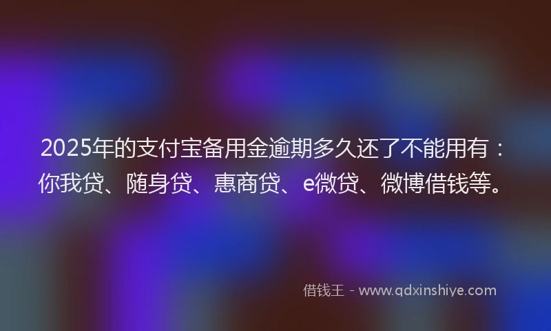 2025年的支付宝备用金逾期多久还了不能用有：你我贷、随身贷、惠商贷、e微贷、微博借钱等。