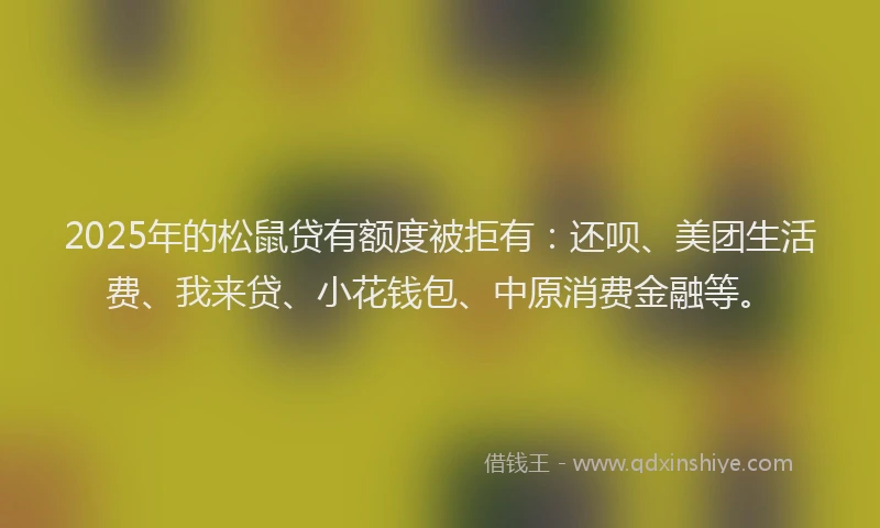 2025年的松鼠贷有额度被拒有：还呗、美团生活费、我来贷、小花钱包、中原消费金融等。