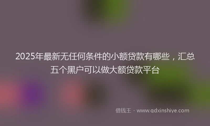 2025年最新无任何条件的小额贷款有哪些，汇总五个黑户可以做大额贷款平台