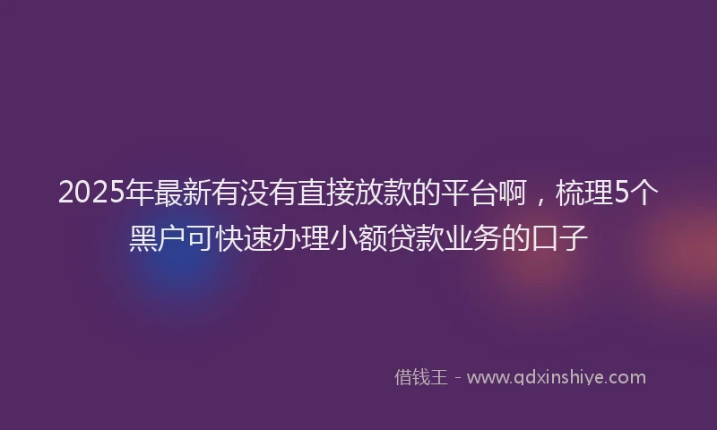 2025年最新有没有直接放款的平台啊，梳理5个黑户可快速办理小额贷款业务的口子