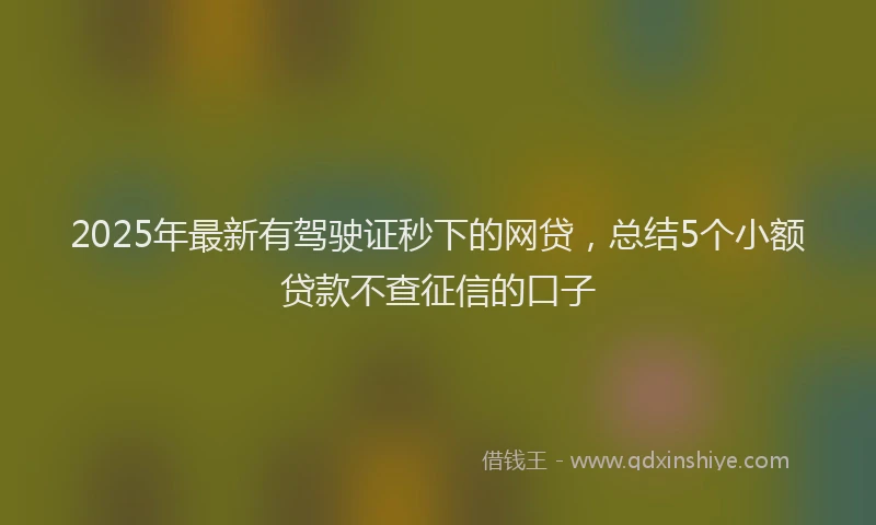 2025年最新有驾驶证秒下的网贷，总结5个小额贷款不查征信的口子