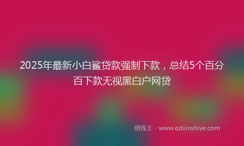2025年最新小白鲨贷款强制下款，总结5个百分百下款无视黑白户网贷