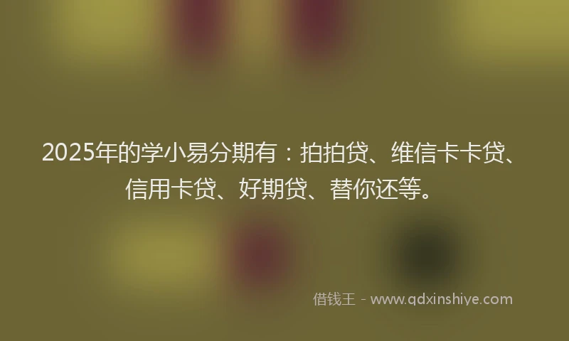 2025年的学小易分期有：拍拍贷、维信卡卡贷、信用卡贷、好期贷、替你还等。