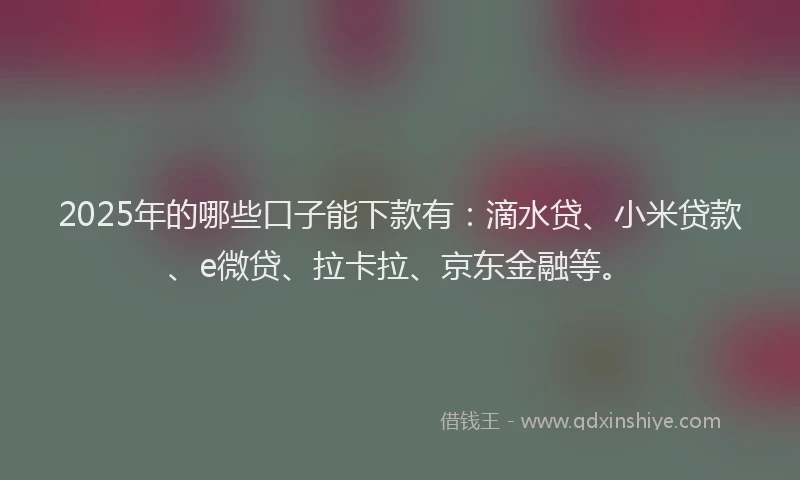 2025年的哪些口子能下款有：滴水贷、小米贷款、e微贷、拉卡拉、京东金融等。