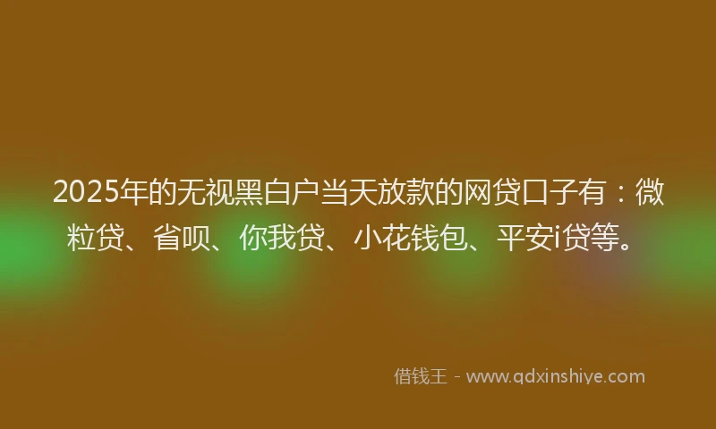 2025年的无视黑白户当天放款的网贷口子有：微粒贷、省呗、你我贷、小花钱包、平安i贷等。