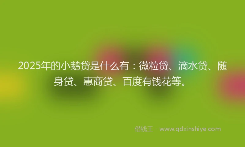 2025年的小鹅贷是什么有：微粒贷、滴水贷、随身贷、惠商贷、百度有钱花等。