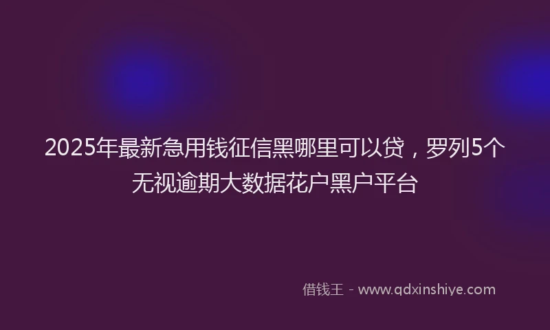 2025年最新急用钱征信黑哪里可以贷，罗列5个无视逾期大数据花户黑户平台
