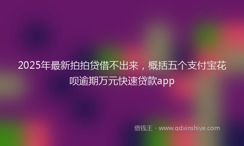 2025年最新拍拍贷借不出来，概括五个支付宝花呗逾期万元快速贷款app