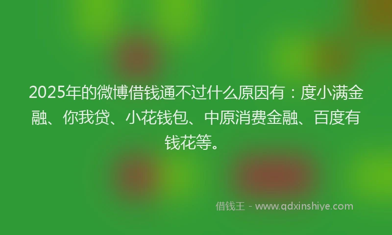 2025年的微博借钱通不过什么原因有：度小满金融、你我贷、小花钱包、中原消费金融、百度有钱花等。