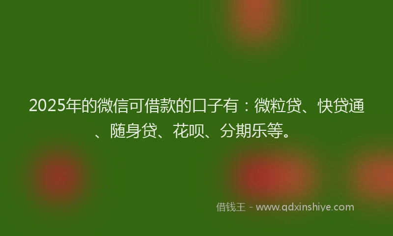 2025年的微信可借款的口子有：微粒贷、快贷通、随身贷、花呗、分期乐等。