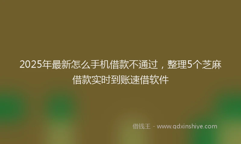 2025年最新怎么手机借款不通过，整理5个芝麻借款实时到账速借软件