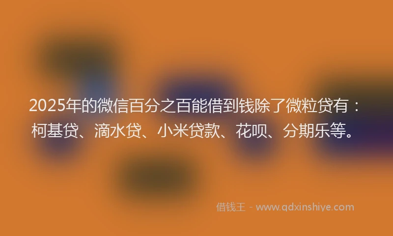 2025年的微信百分之百能借到钱除了微粒贷有：柯基贷、滴水贷、小米贷款、花呗、分期乐等。