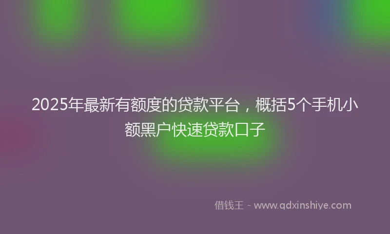 2025年最新有额度的贷款平台，概括5个手机小额黑户快速贷款口子