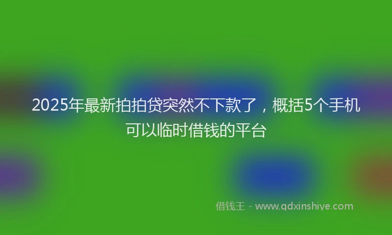 2025年最新拍拍贷突然不下款了，概括5个手机可以临时借钱的平台
