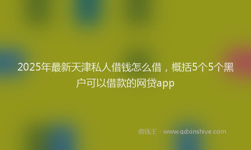 2025年最新天津私人借钱怎么借，概括5个5个黑户可以借款的网贷app