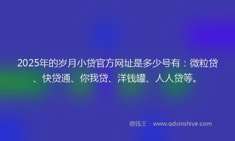 2025年的岁月小贷官方网址是多少号有：微粒贷、快贷通、你我贷、洋钱罐、人人贷等。