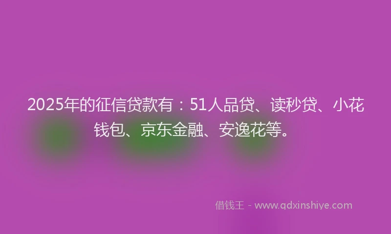 2025年的征信贷款有：51人品贷、读秒贷、小花钱包、京东金融、安逸花等。