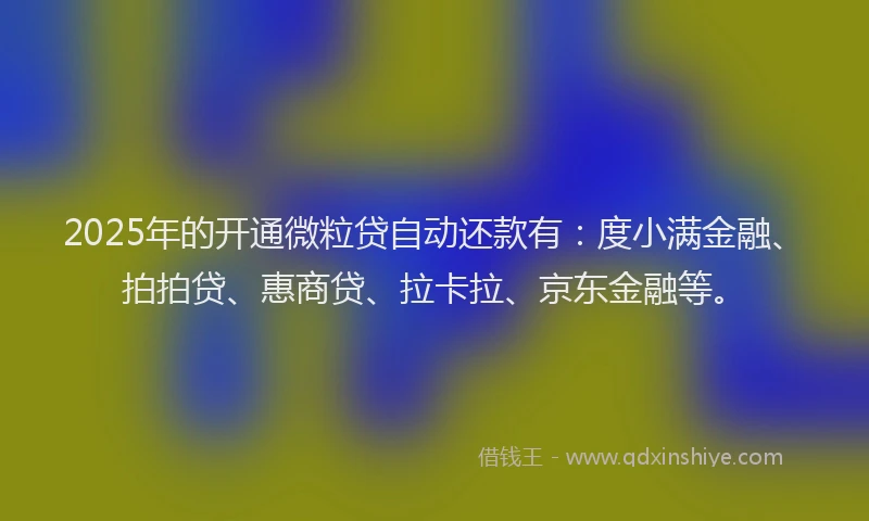 2025年的开通微粒贷自动还款有：度小满金融、拍拍贷、惠商贷、拉卡拉、京东金融等。