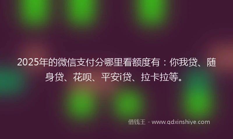2025年的微信支付分哪里看额度有：你我贷、随身贷、花呗、平安i贷、拉卡拉等。