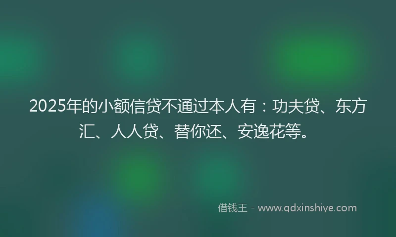 2025年的小额信贷不通过本人有：功夫贷、东方汇、人人贷、替你还、安逸花等。