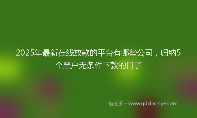2025年最新在线放款的平台有哪些公司，归纳5个黑户无条件下款的口子