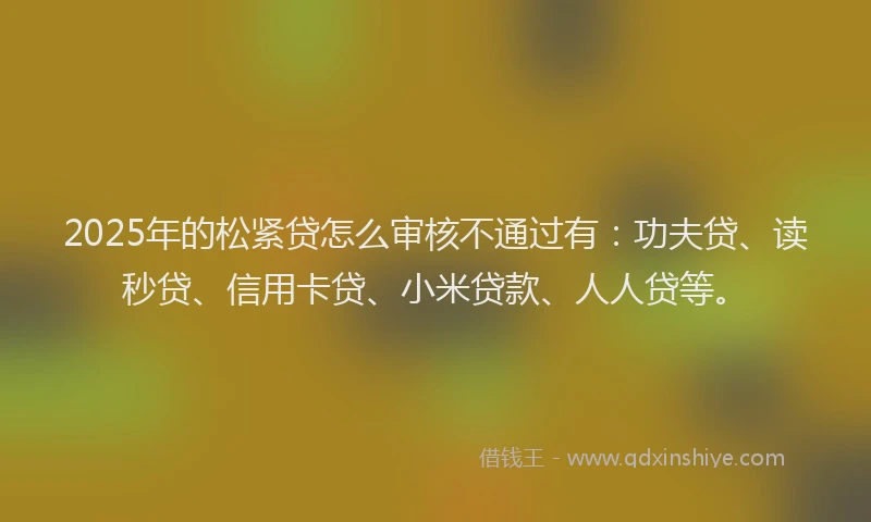 2025年的松紧贷怎么审核不通过有：功夫贷、读秒贷、信用卡贷、小米贷款、人人贷等。