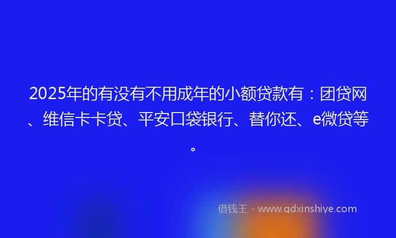 2025年的有没有不用成年的小额贷款有：团贷网、维信卡卡贷、平安口袋银行、替你还、e微贷等。
