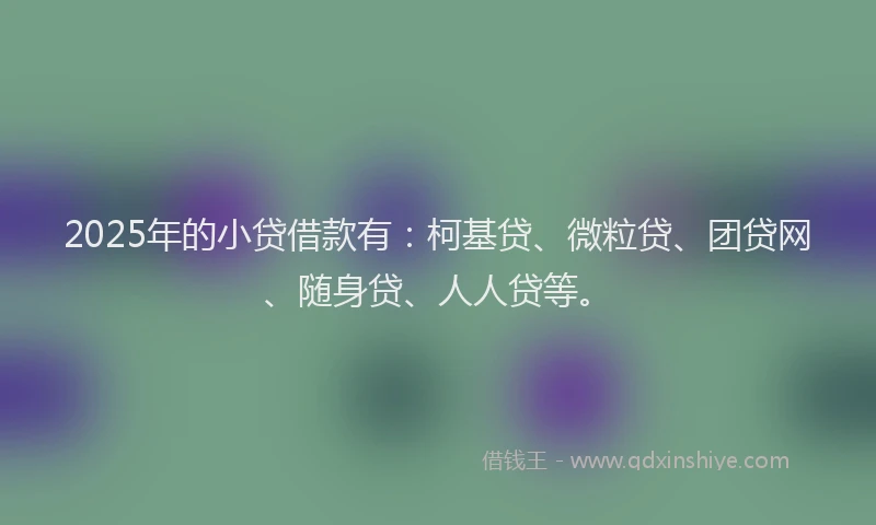 2025年的小贷借款有：柯基贷、微粒贷、团贷网、随身贷、人人贷等。