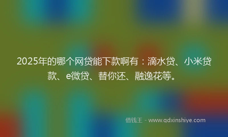 2025年的哪个网贷能下款啊有：滴水贷、小米贷款、e微贷、替你还、融逸花等。