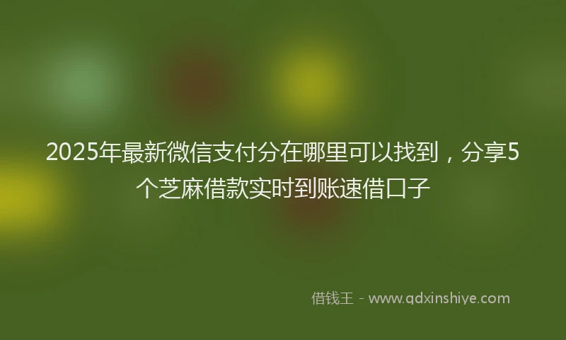 2025年最新微信支付分在哪里可以找到，分享5个芝麻借款实时到账速借口子