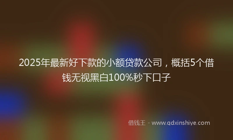 2025年最新好下款的小额贷款公司，概括5个借钱无视黑白100%秒下口子