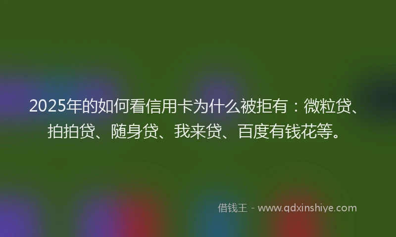 2025年的如何看信用卡为什么被拒有：微粒贷、拍拍贷、随身贷、我来贷、百度有钱花等。