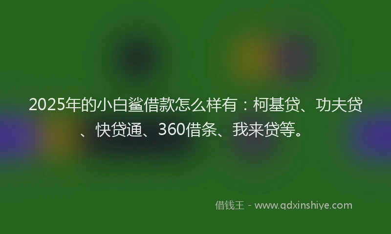 2025年的小白鲨借款怎么样有：柯基贷、功夫贷、快贷通、360借条、我来贷等。