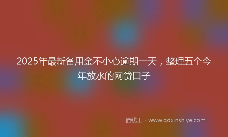 2025年最新备用金不小心逾期一天，整理五个今年放水的网贷口子