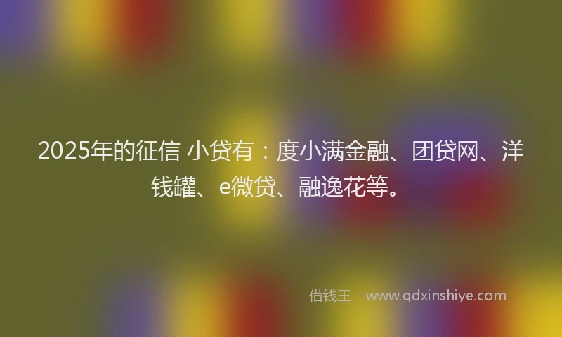 2025年的征信 小贷有：度小满金融、团贷网、洋钱罐、e微贷、融逸花等。