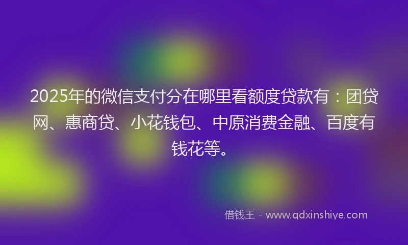 2025年的微信支付分在哪里看额度贷款有：团贷网、惠商贷、小花钱包、中原消费金融、百度有钱花等。