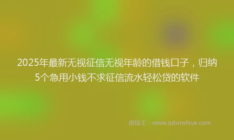 2025年最新无视征信无视年龄的借钱口子，归纳5个急用小钱不求征信流水轻松贷的软件