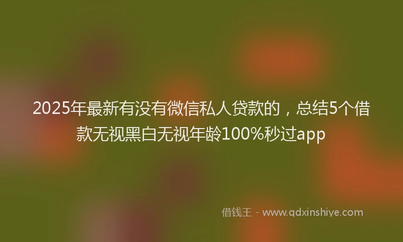 2025年最新有没有微信私人贷款的，总结5个借款无视黑白无视年龄100%秒过app