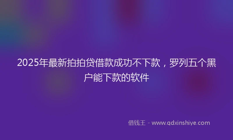 2025年最新拍拍贷借款成功不下款，罗列五个黑户能下款的软件