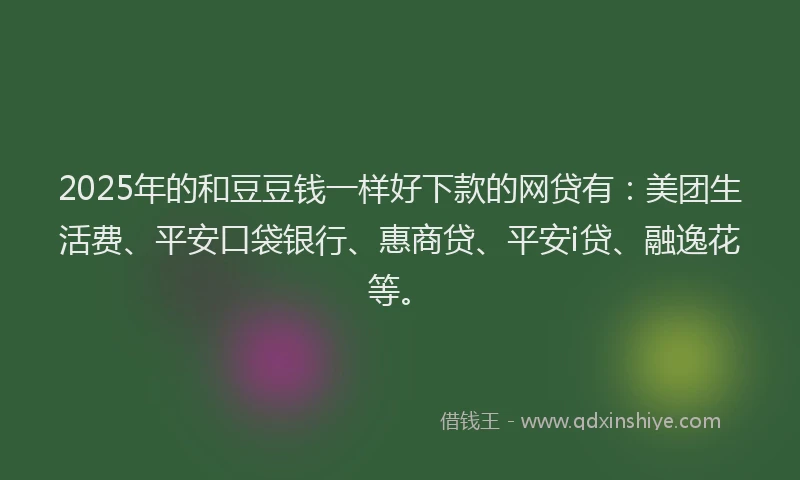 2025年的和豆豆钱一样好下款的网贷有：美团生活费、平安口袋银行、惠商贷、平安i贷、融逸花等。