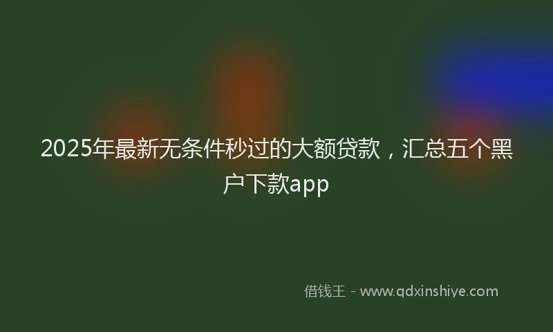 2025年最新无条件秒过的大额贷款，汇总五个黑户下款app
