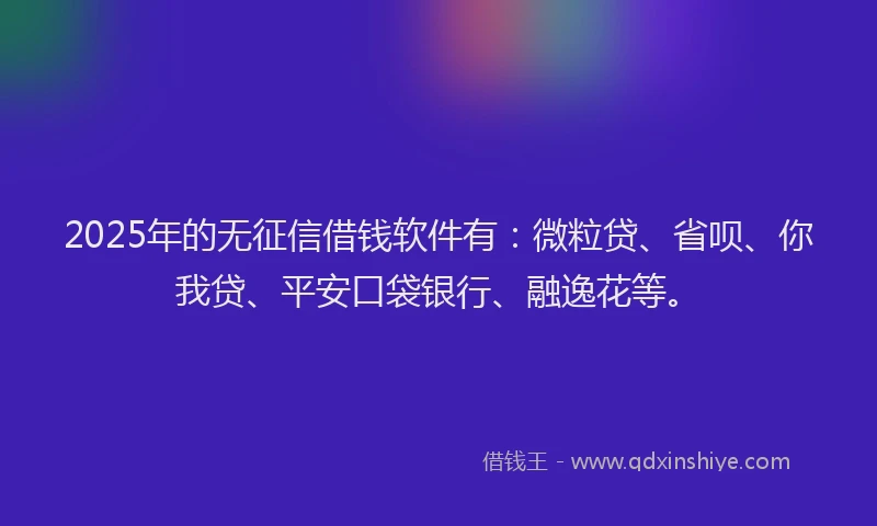 2025年的无征信借钱软件有：微粒贷、省呗、你我贷、平安口袋银行、融逸花等。