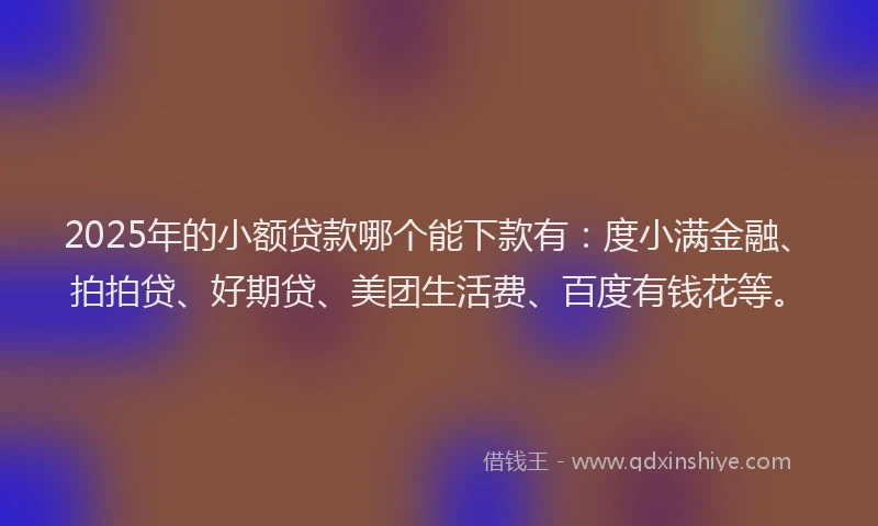 2025年的小额贷款哪个能下款有：度小满金融、拍拍贷、好期贷、美团生活费、百度有钱花等。