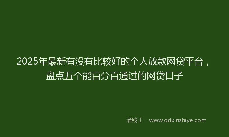 2025年最新有没有比较好的个人放款网贷平台，盘点五个能百分百通过的网贷口子