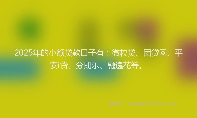 2025年的小额贷款口子有：微粒贷、团贷网、平安i贷、分期乐、融逸花等。