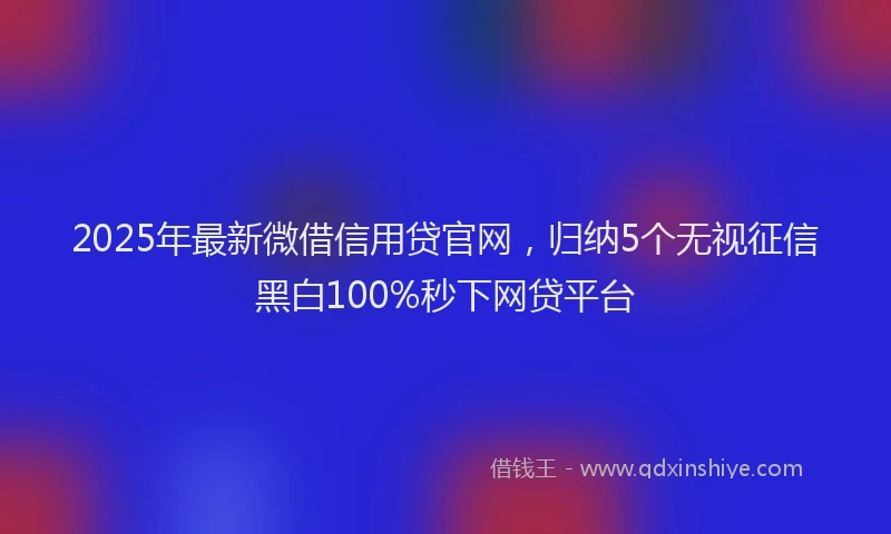 2025年最新微借信用贷官网，归纳5个无视征信黑白100%秒下网贷平台