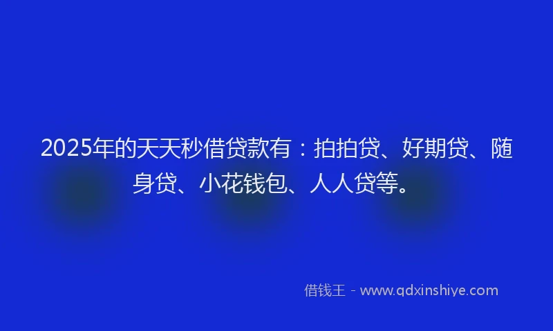 2025年的天天秒借贷款有：拍拍贷、好期贷、随身贷、小花钱包、人人贷等。