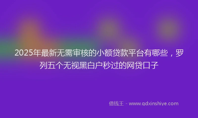 2025年最新无需审核的小额贷款平台有哪些，罗列五个无视黑白户秒过的网贷口子