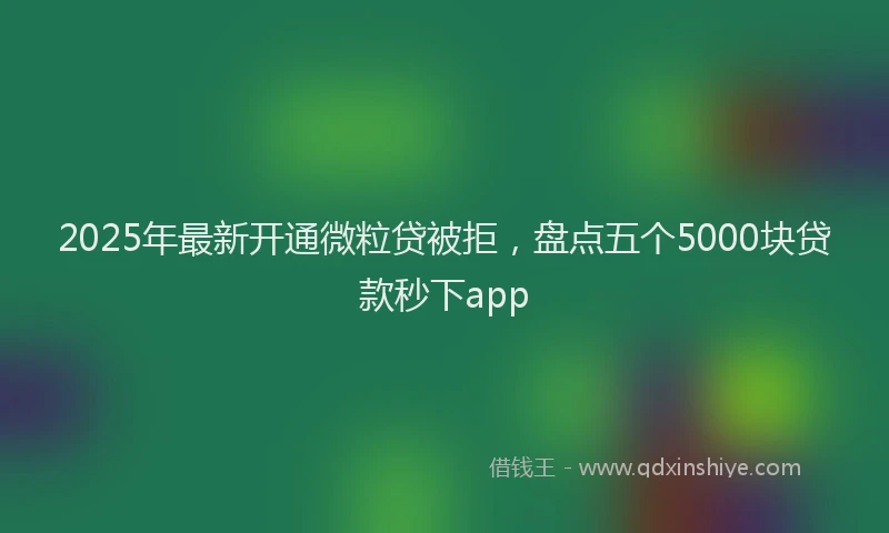 2025年最新开通微粒贷被拒，盘点五个5000块贷款秒下app